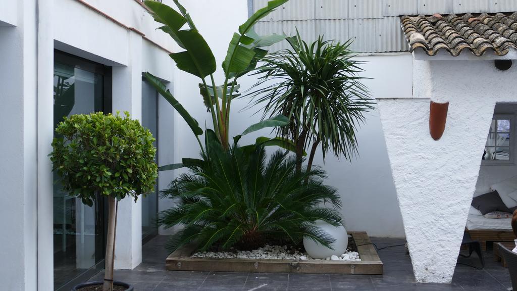 Hotel Salome Calafell Exterior photo